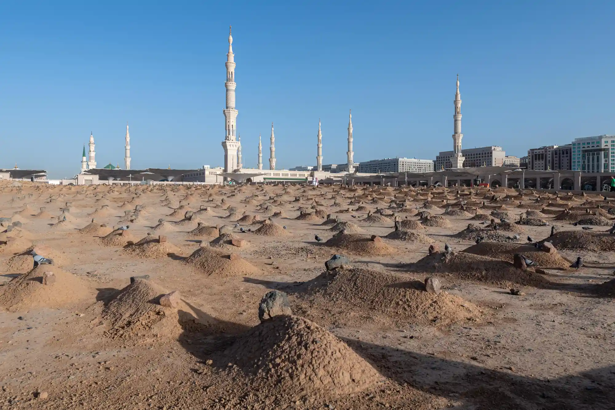 A wide cemetery of low earthen grave mounds in the foreground, with the minarets and buildings of the Prophet's Mosque in Medina rising behind under a clear sky