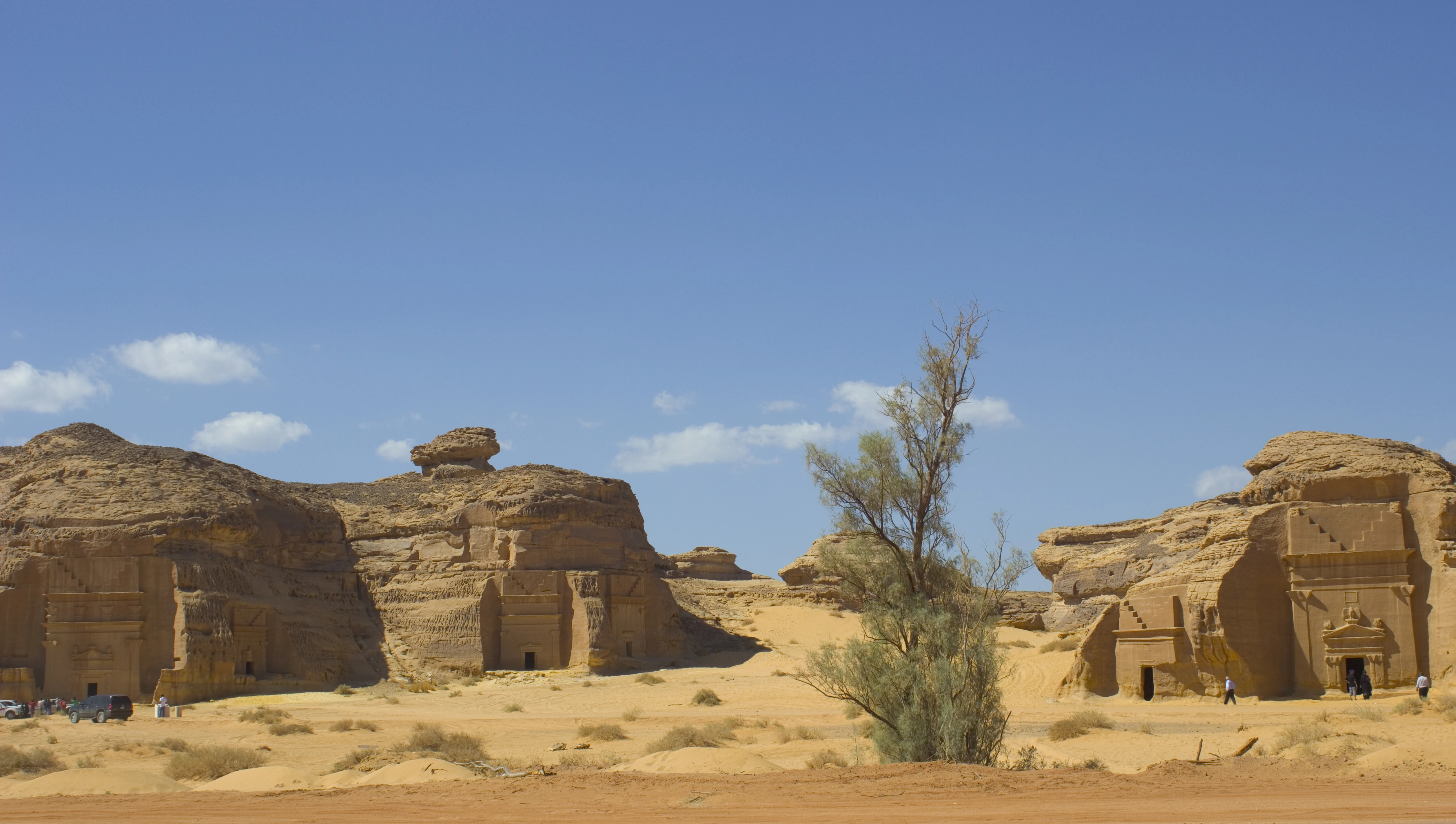 Sandstone outcrops in open desert, their faces cut into monumental tomb chambers with pilasters, stepped crown mouldings and carved doorways, with a tamarisk tree in the foreground